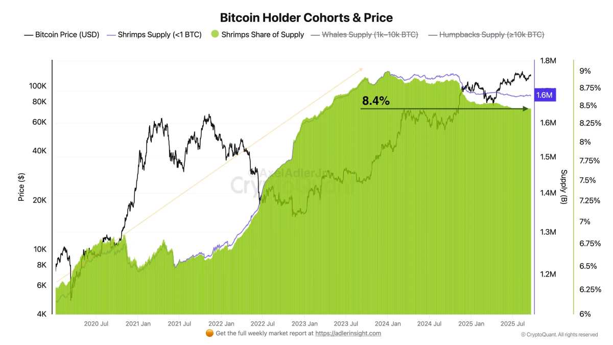 Data: Retail Investors Currently Hold 1.6 Million BTC, Representing 8.4% of  the Total Supply - moomoo