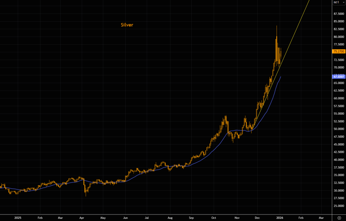 A strong start to the year! The 2026 gold and silver bull market ...